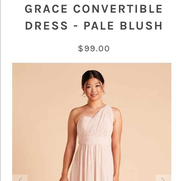 Birdy Grey Dresses & Skirts - Birdy Grey. Size M. Color pale blush.